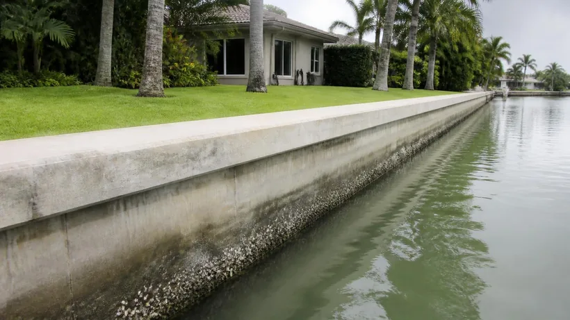 Concrete seawall running along a residential canal, waterline staining and a barnacle band on the face below the cap