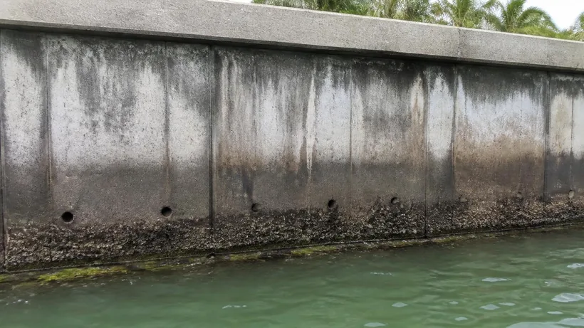Seawall face seen from the water at low tide, panel joints and weep holes above a barnacle band at the toe